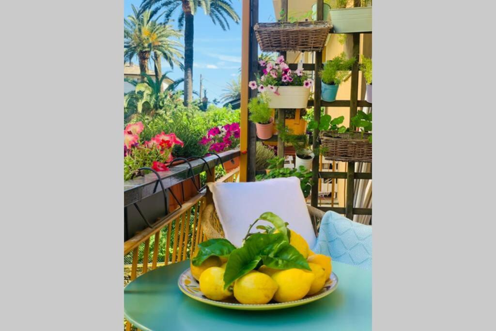 Mediterranean Apartment